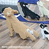 French Bulldog (Yoga) Dog Building Kits